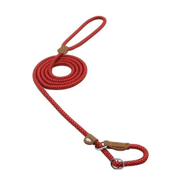 Nylon Dog Pup Set — Adjustable Harness & Leash for Small Dogs
