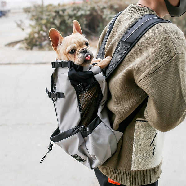 Pet Dog Carrier Backpack — Double Shoulder Portable Travel Bag