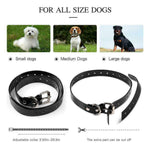 Remote Dog Training Collar Set — 2600FT Range, 2 Collars